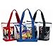 Large Clear Tote Bag with Zipper Closure (Red)