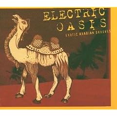 Electric Oasis - Exotic Arabian Grooves