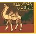 Electric Oasis - Exotic Arabian Grooves