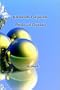 Intermetallic Compounds - Physics and Chemistry