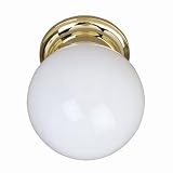 1-Light Flush Mount