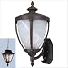 Special Lite Products F-2724BLAB Hampton Medium Chain Pendant Finish: Black, Glass: A...