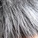 Midgar Temple Hair 8-12cm Silver Doctor Blue