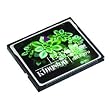 Kingston Elite Pro 32 GB 133x CompactFlash Memory Card CF/32GB-S2