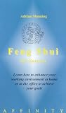 Review Affinity  / Feng Shui For Success [1998]