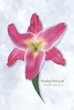 Resting Into God
