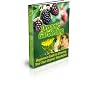 Organic Gardening : Beginners Guide to Growing Your Own Organic Vegetables