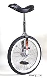 Schwinn 20 in Unicycle
