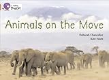 Animals on the move