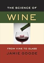 The Science of Wine: From Vine to Glass