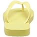 Havaianas Women's Top Flip Flop