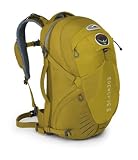 Osprey Momentum 34-Litre Commuter Pack