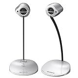 Sony SRS AX10S Aktiv Lautsprecher-System silber