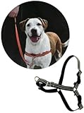 Reflective Easy Walk Harness & Leash Combo - Red (Petite/Small)