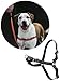 Reflective Easy Walk Harness & Leash Combo - Black (Small)