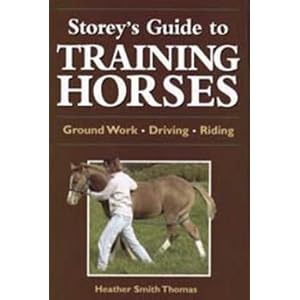 horse-training