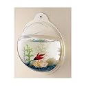 Fish Bubble Wall Mount Fish Tank (3.6L)