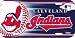 MLB Cleveland Indians License Plate