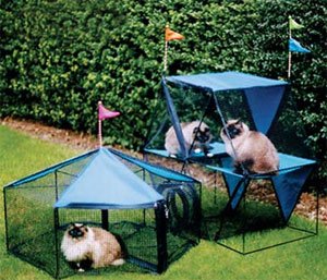 Kittywalk Carnival – Outdoor Cat Carnival