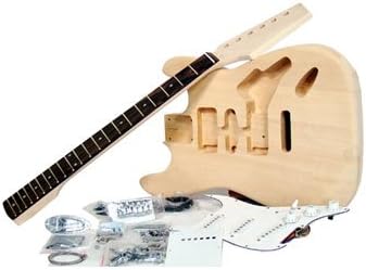BAD AAX Double Horn Deep cut a way Guitar Building Kit