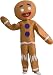 Shrek Child's Costume And Mask, Gingerbread Man Costume