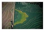 Aerial View of Cultivated Fields, Parkin, Arizona, USA, Arizona Photographic Poster Print by Jim Wark, 24x18