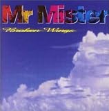 Broken Wings: Best of Mister Mister an album by Mr Mister