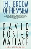 The Broom of the System