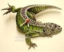Sand Lizard Wall Clock - RP3
