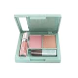 Clinique Color Palette Sunswept Berry Delight Bronzer Blush Sunshine Lipgloss Travel Size (No Box)