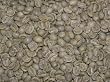 La Minita Tarrazu Green Coffee Beans - 5lbs
