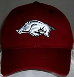 Arkansas Razorbacks Wool Team Color One Fit Hat