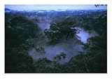 Borneo Dayak's-related products item: Aerial of Gunung Palung National Park, Borneo, Indonesia, Forests Photographic Poster Print, 24x18