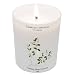 Camellia Sinensis (Tea Plant) Candle 6.7oz candle by Carriere Freres Industrie