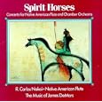 Spirit Horses