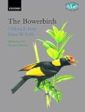 The Bowerbirds: Ptilonorhynchidae (Bird Families of the World)