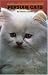 Book Persian Cats