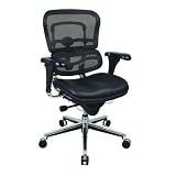 Eurotech Mid Back Black Mesh Office Chair - Ergohuman 