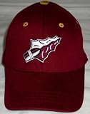 Florida State Seminoles Youth One - Fit Cap - B0000A16LX