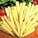 SWEETCORN - F1 MINIPOP - 20 SEEDS [mini corn]