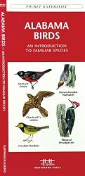 Alabama Birds: An Introduction to Familiar Species (State Nature Guides)