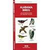 Alabama Birds: An Introduction to Familiar Species (State Nature Guides)