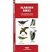 Alabama Birds: An Introduction to Familiar Species (State Nature Guides)