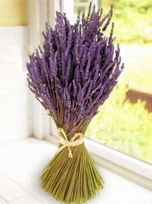 Lavender Hydrosol, 100% Pure, 2oz bottle