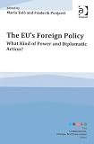 The EU's Foreign Policy: What Kind of Power and Diplomatic Action? (Globalisation, Europe, Multilateralism)