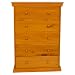 Baby : Delta Lauren 5-Drawer Dresser - Pecan