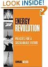 Energy Revolution: Policies For A Sustainable Future