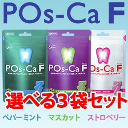 【歯科専用】ポスカ・エフ(POs-Ca F)パウチタイプ 100ｇ×3袋【メール便2セットまでOK】