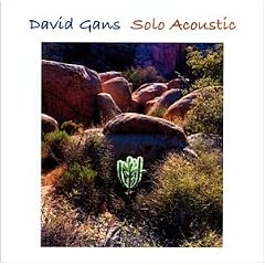 Solo Acoustic by  David Gans 