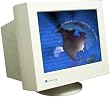 19in/18v Crt 25mm 1280x102485hz P2450 Natural Flat Ag